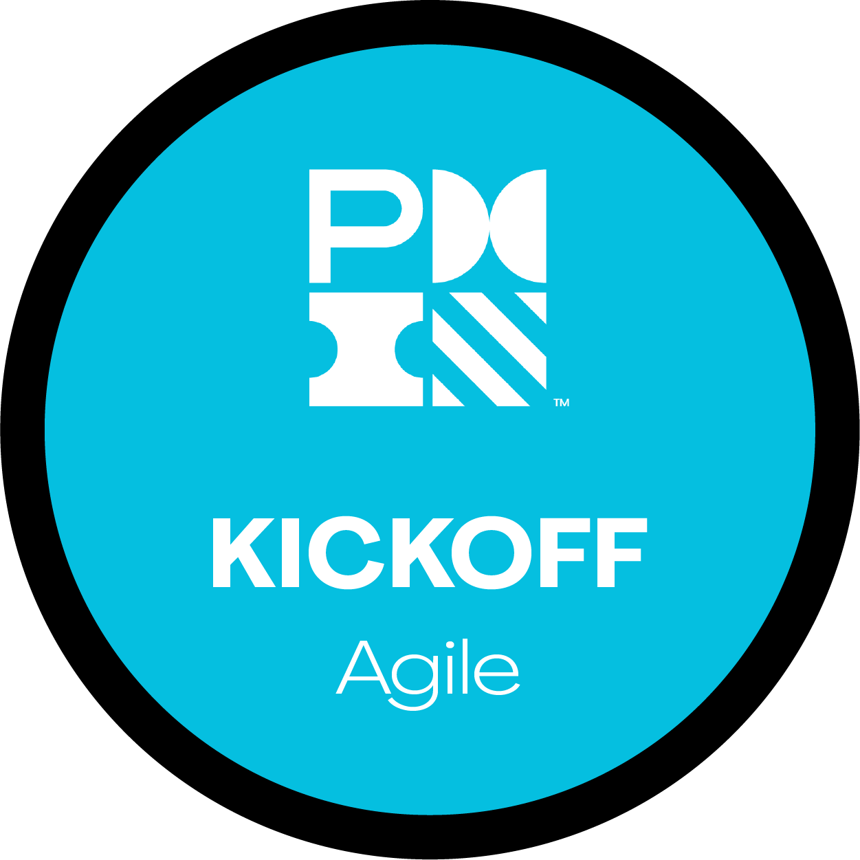 PMI Agile Management